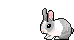 :bunnyhop: